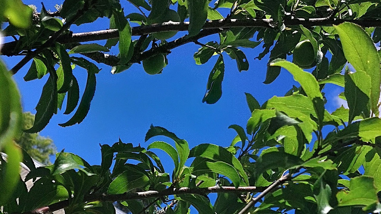 Photo of Outdoor in Rerewhakaaitu