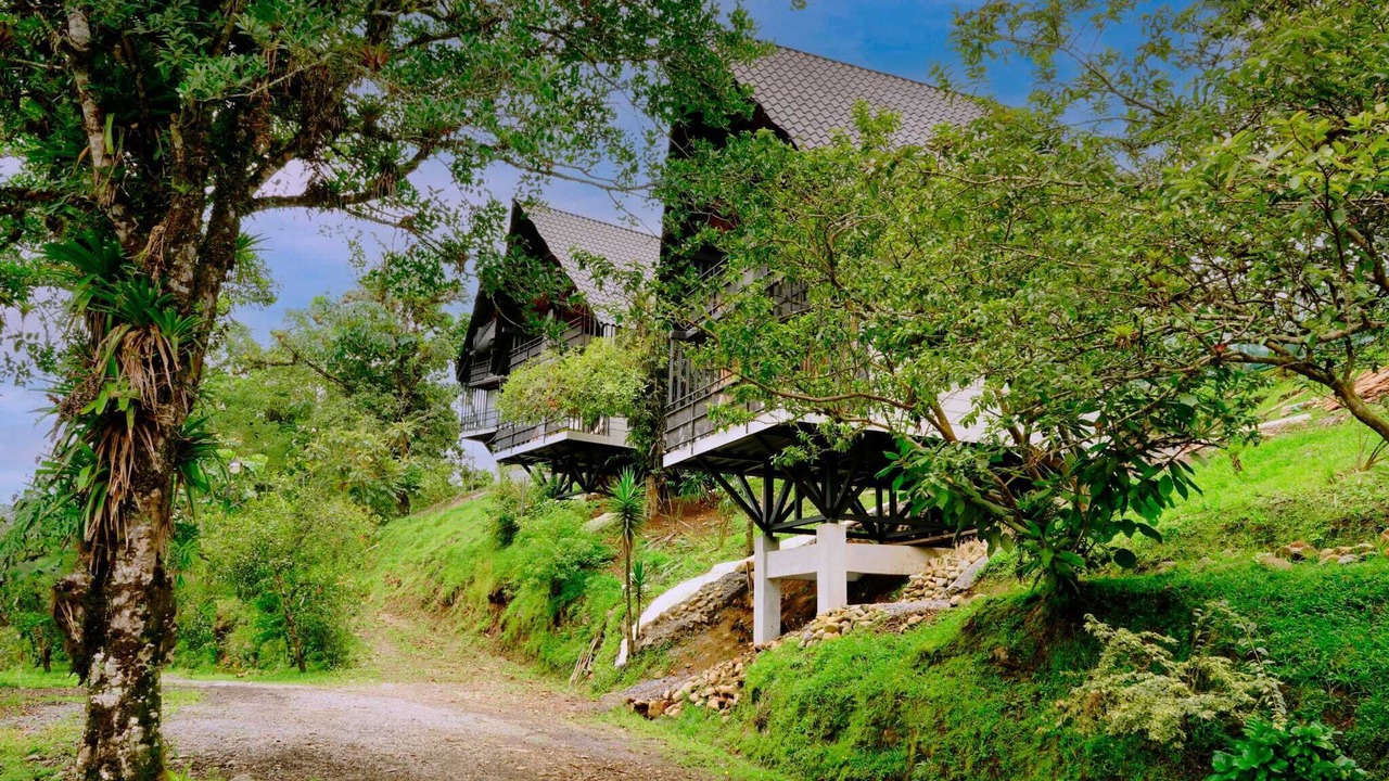 Photo of Outdoor in Bajos del Toro