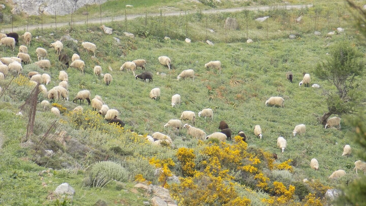 Photo of Outdoor in Krouson