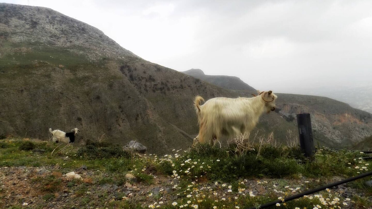 Photo of Outdoor in Krouson