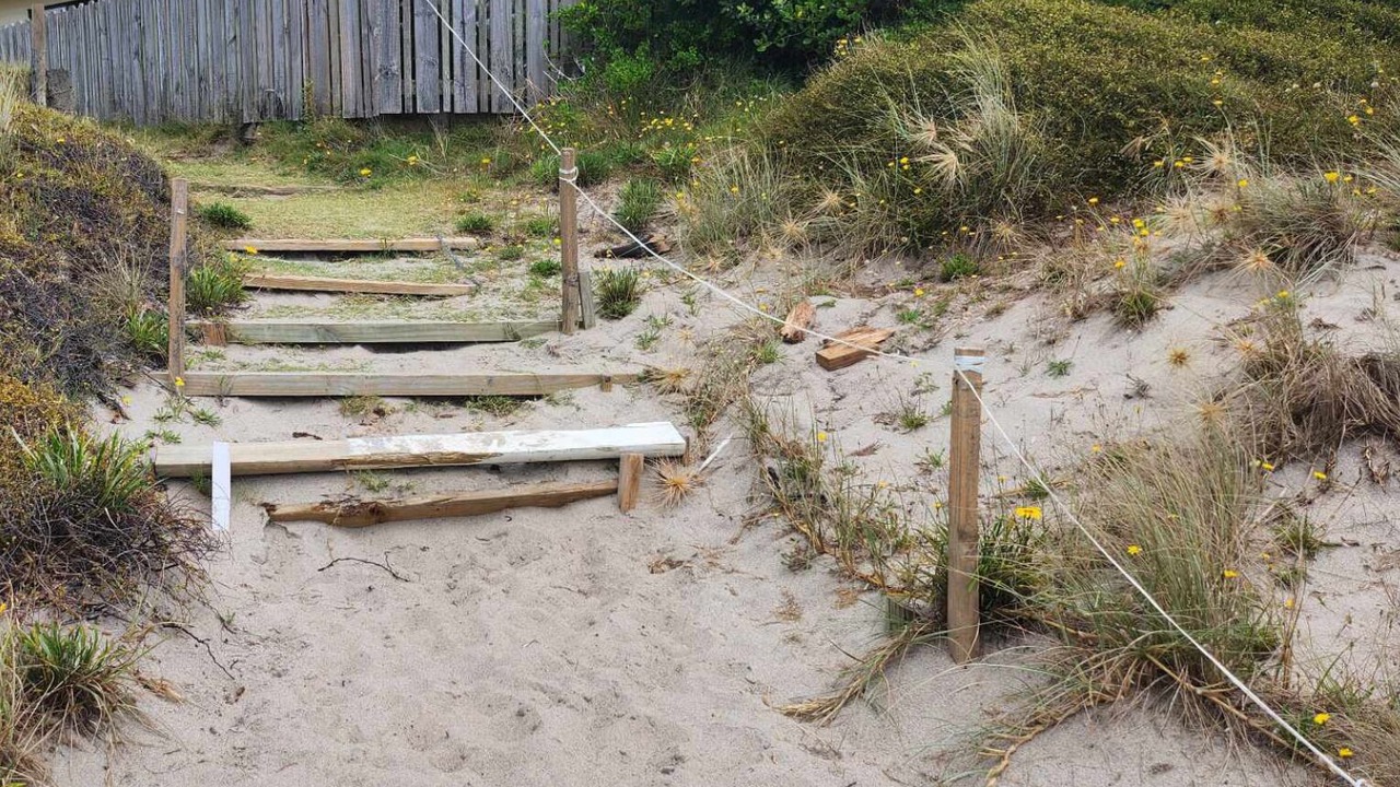 Photo of Others in Papamoa Beach