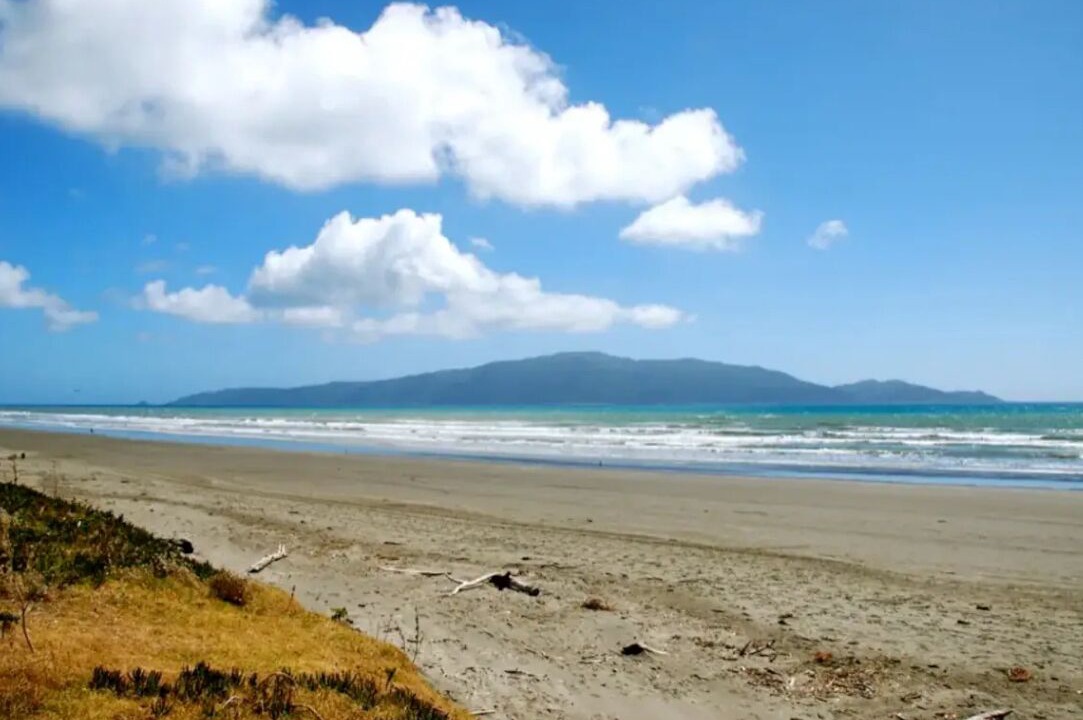 Photo of Others in Gisborne