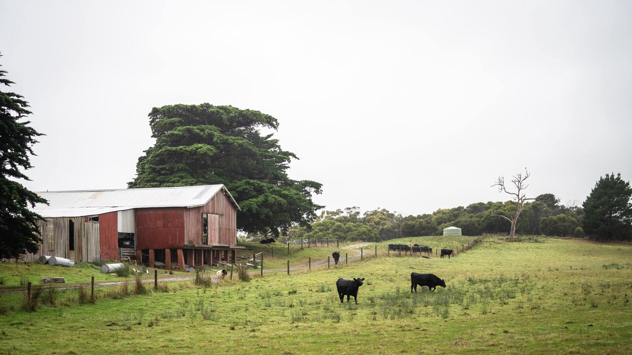 Photo of Outdoor in Mount William
