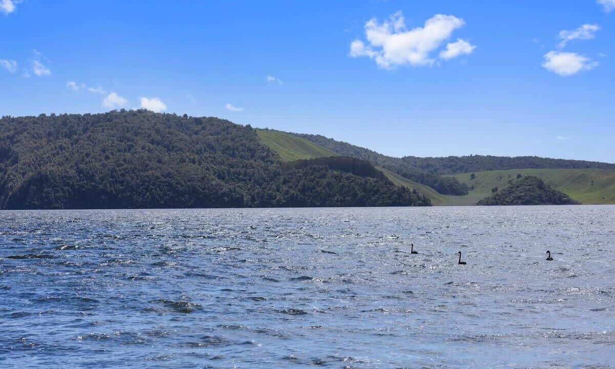Photo of Outdoor in Rotoma