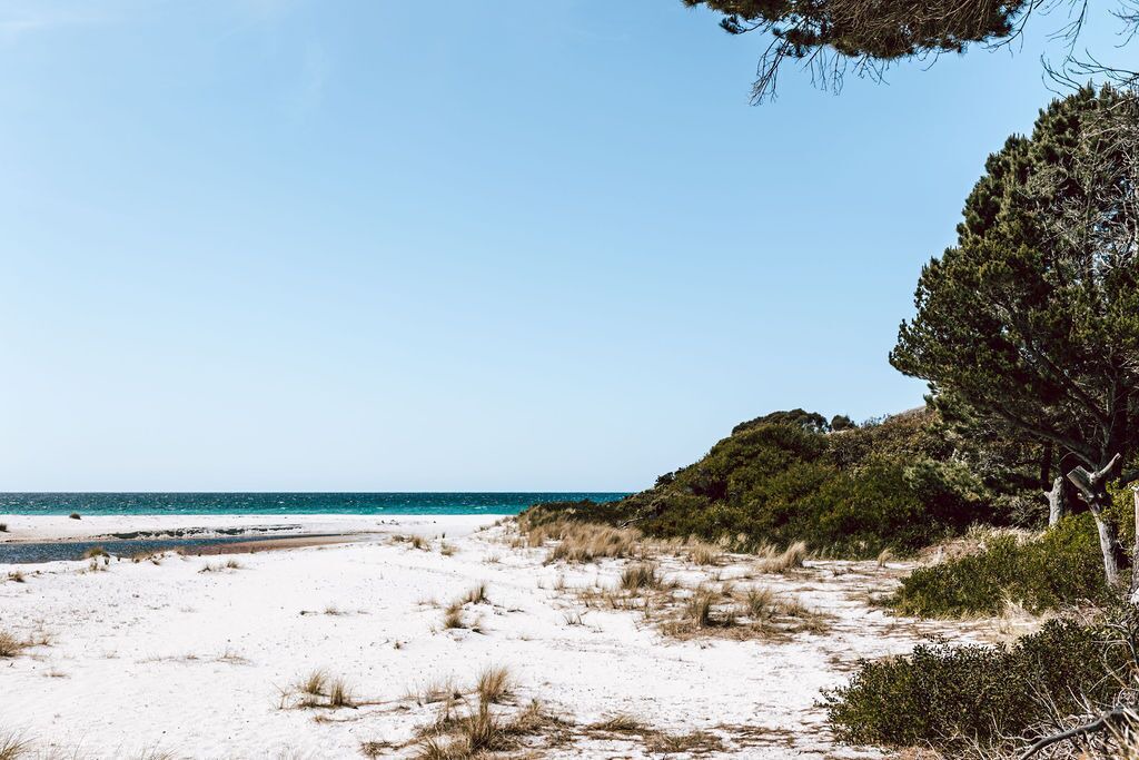 Photo of Others in Binalong Bay