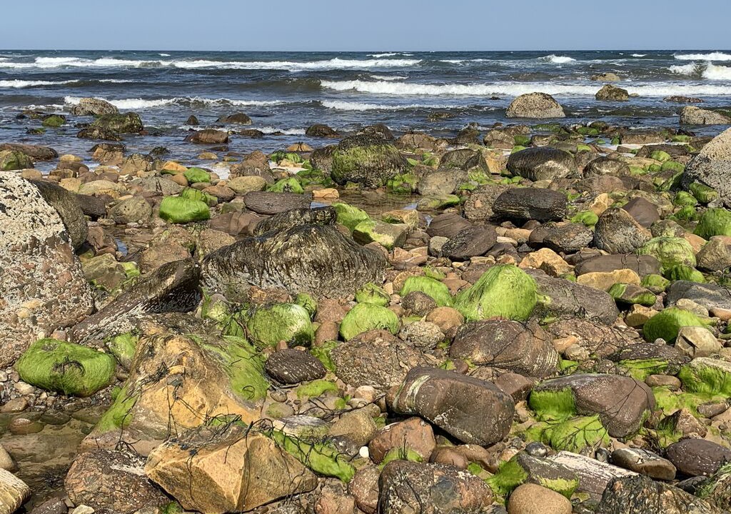 Photo of Others in Brora