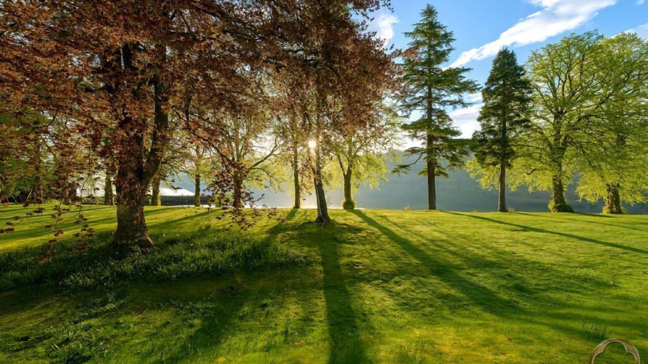 Photo of Outdoor in Fort Augustus
