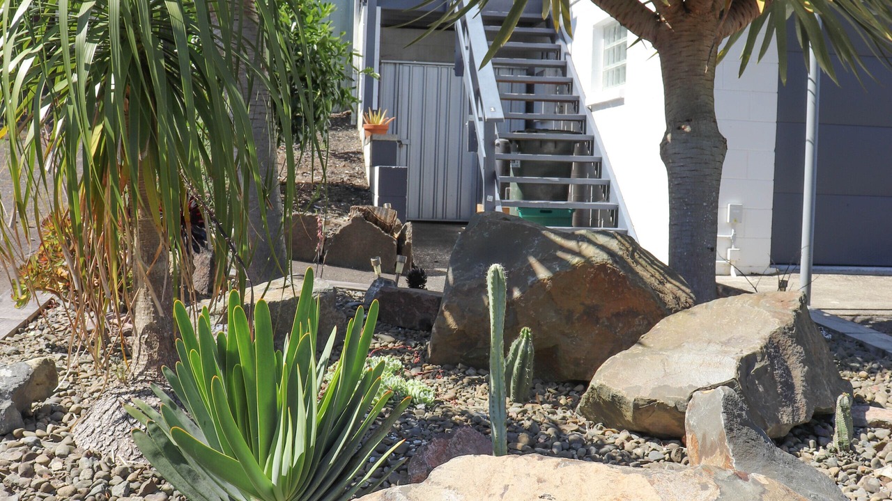 Photo of Outdoor in Ohope