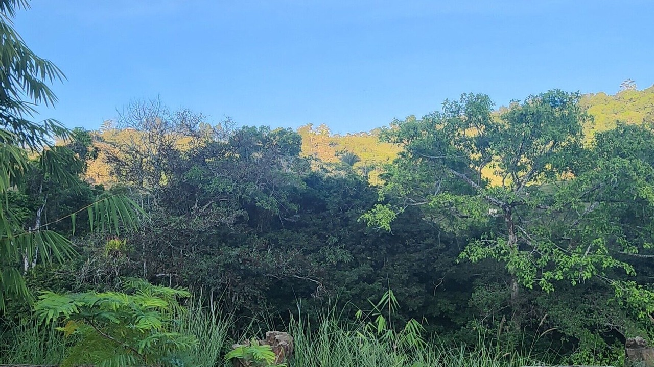 Photo of Outdoor in San Isidro de El General