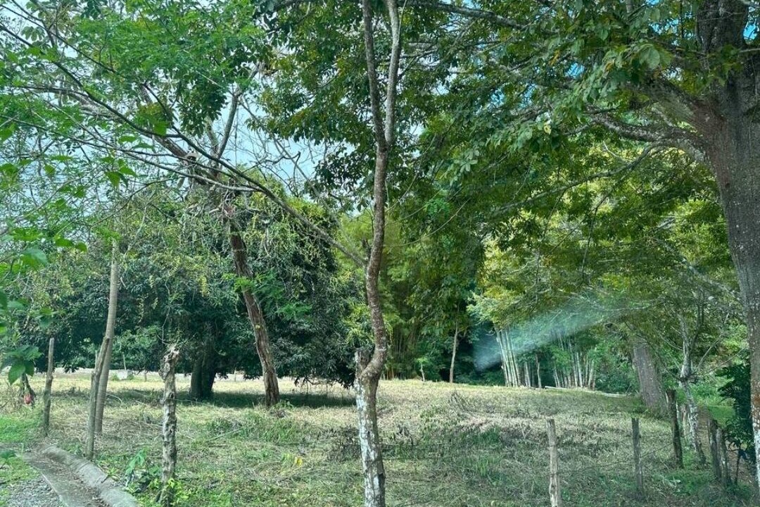 Photo of Others in San Isidro de El General