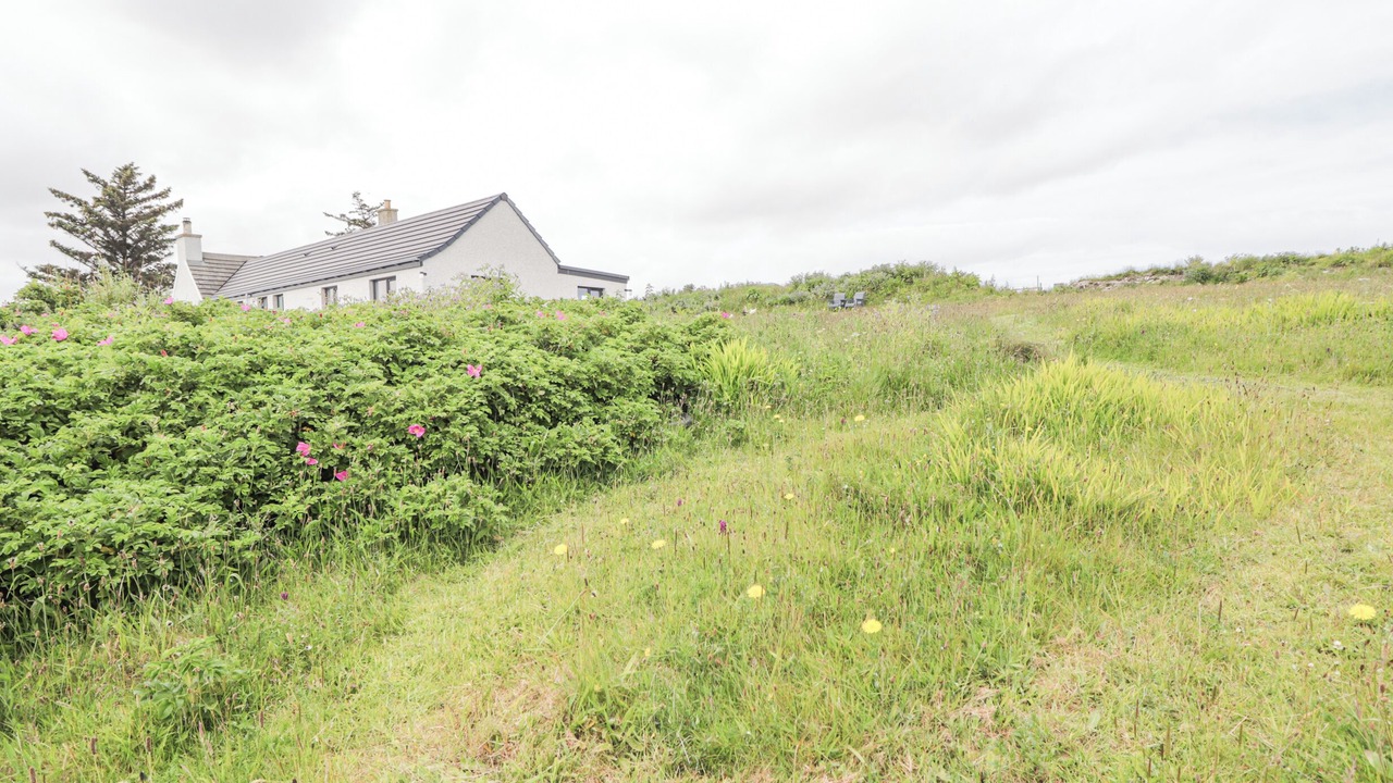 Photo of Outdoor in Auckengill