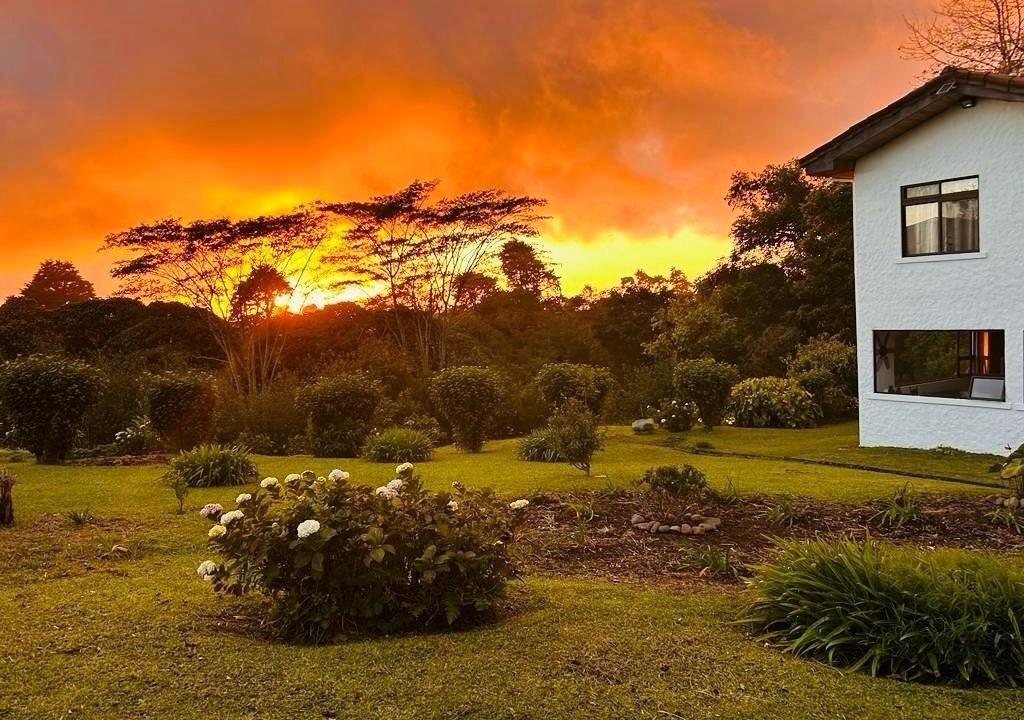 Photo of Outdoor in Roble