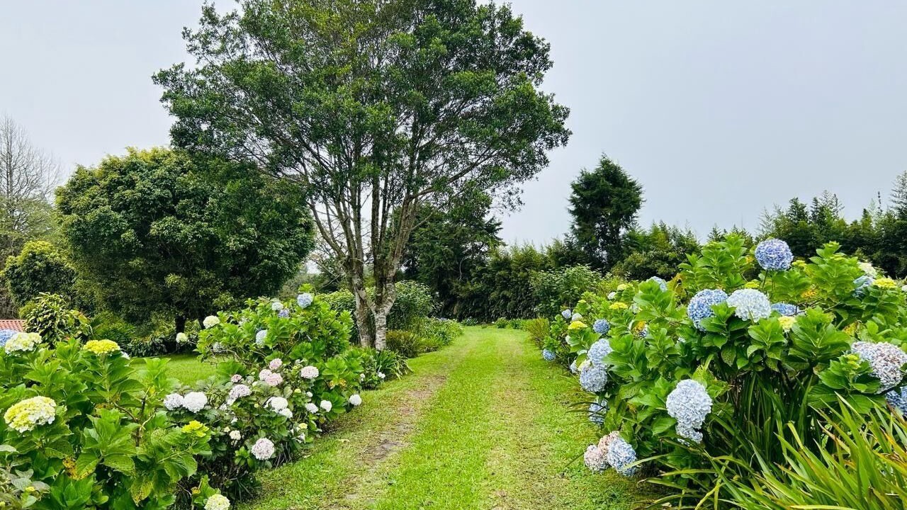 Photo of Outdoor in Roble