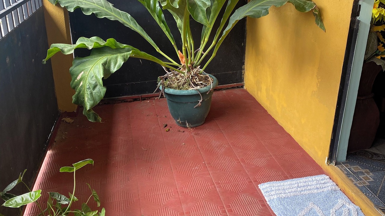 Photo of Outdoor in San Pablo de Heredia