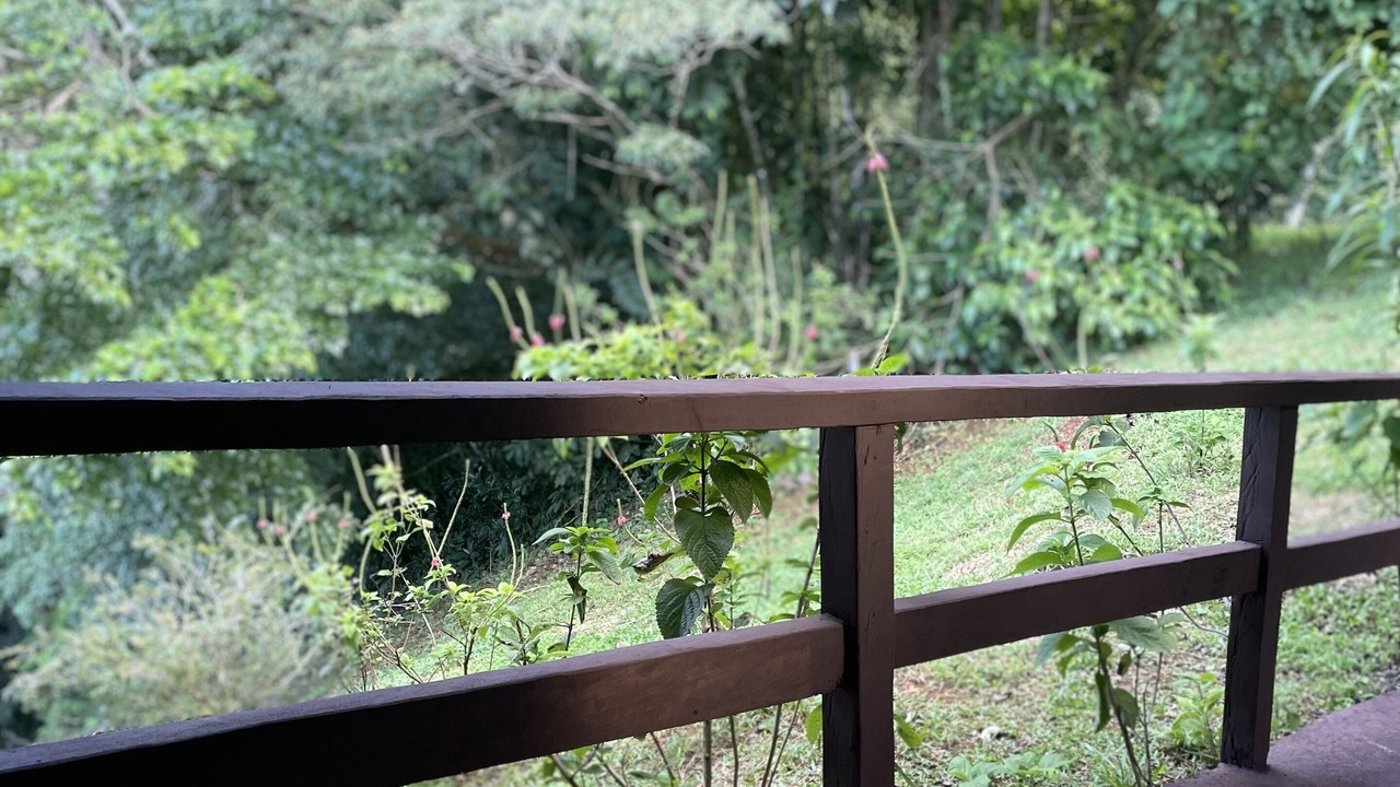 Photo of Outdoor in Chilamate
