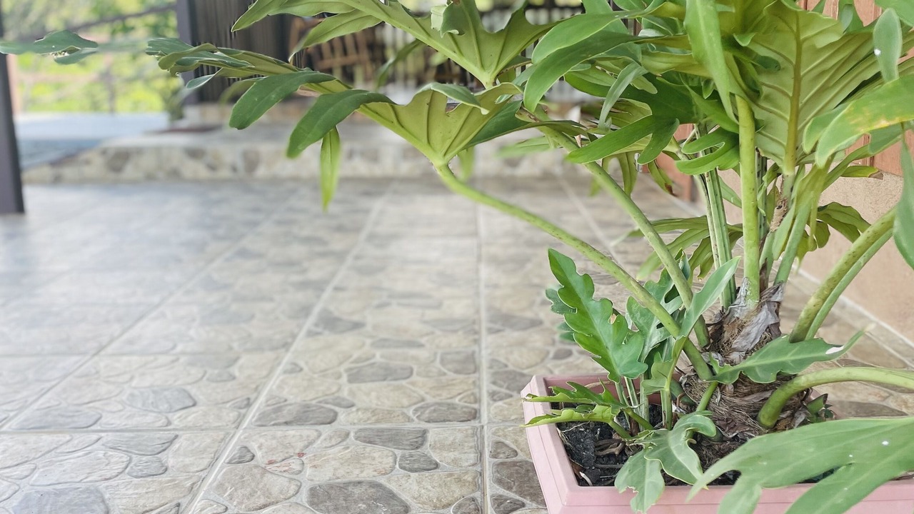 Photo of Outdoor in Chilamate