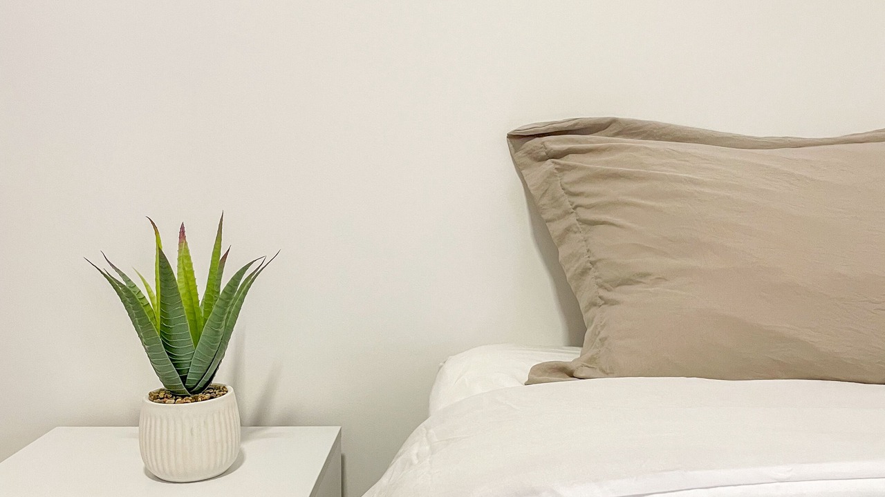 Photo of Bedroom in San Joaquin de Flores