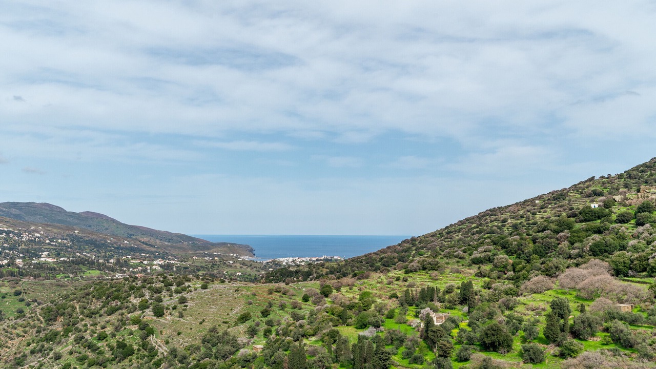 Photo of Others in Andros Town
