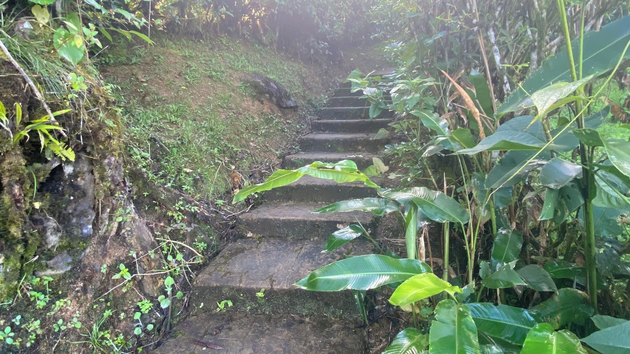 Photo of Outdoor in Baru