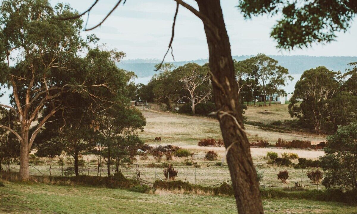 Photo of Others in South Arm