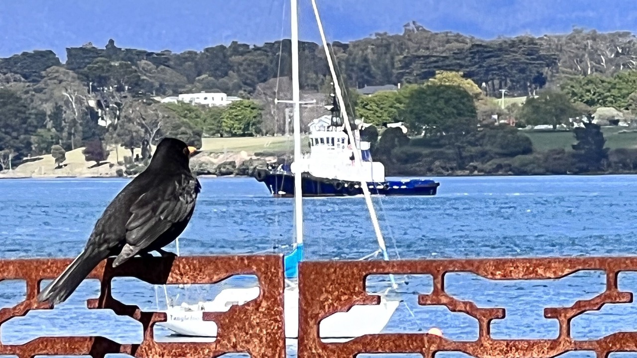 Photo of Others in George Town
