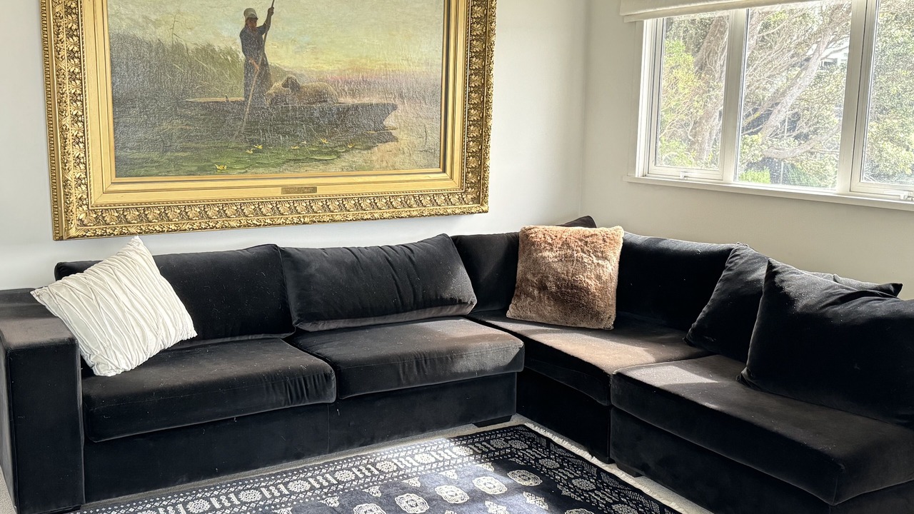 Photo of Livingroom in Oriental Bay