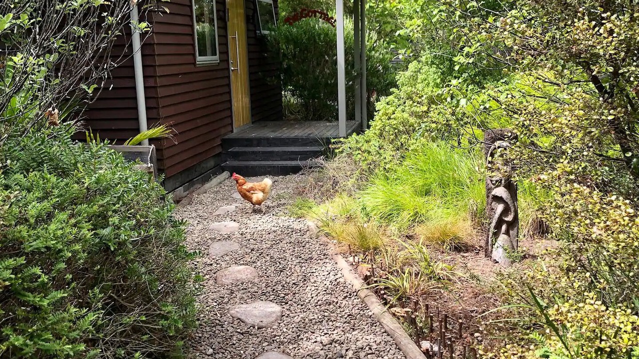 Photo of Outdoor in Riwaka