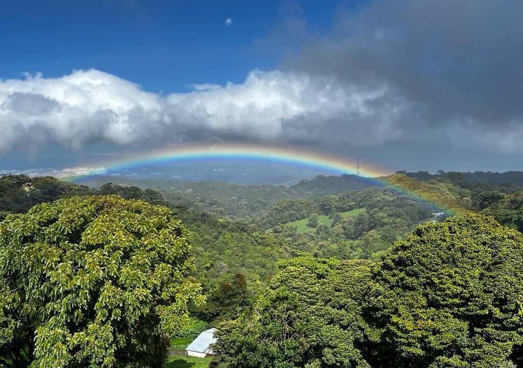 Photo of Bedroom in Monteverde