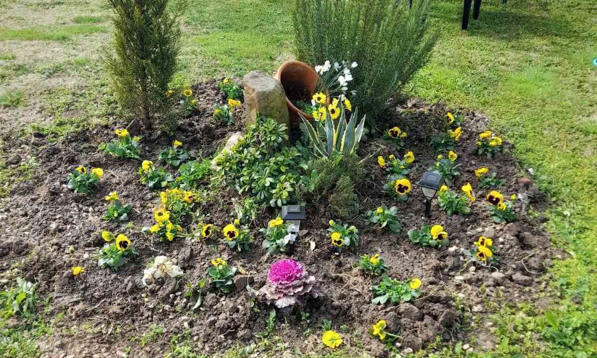 Photo of Outdoor in Trikala