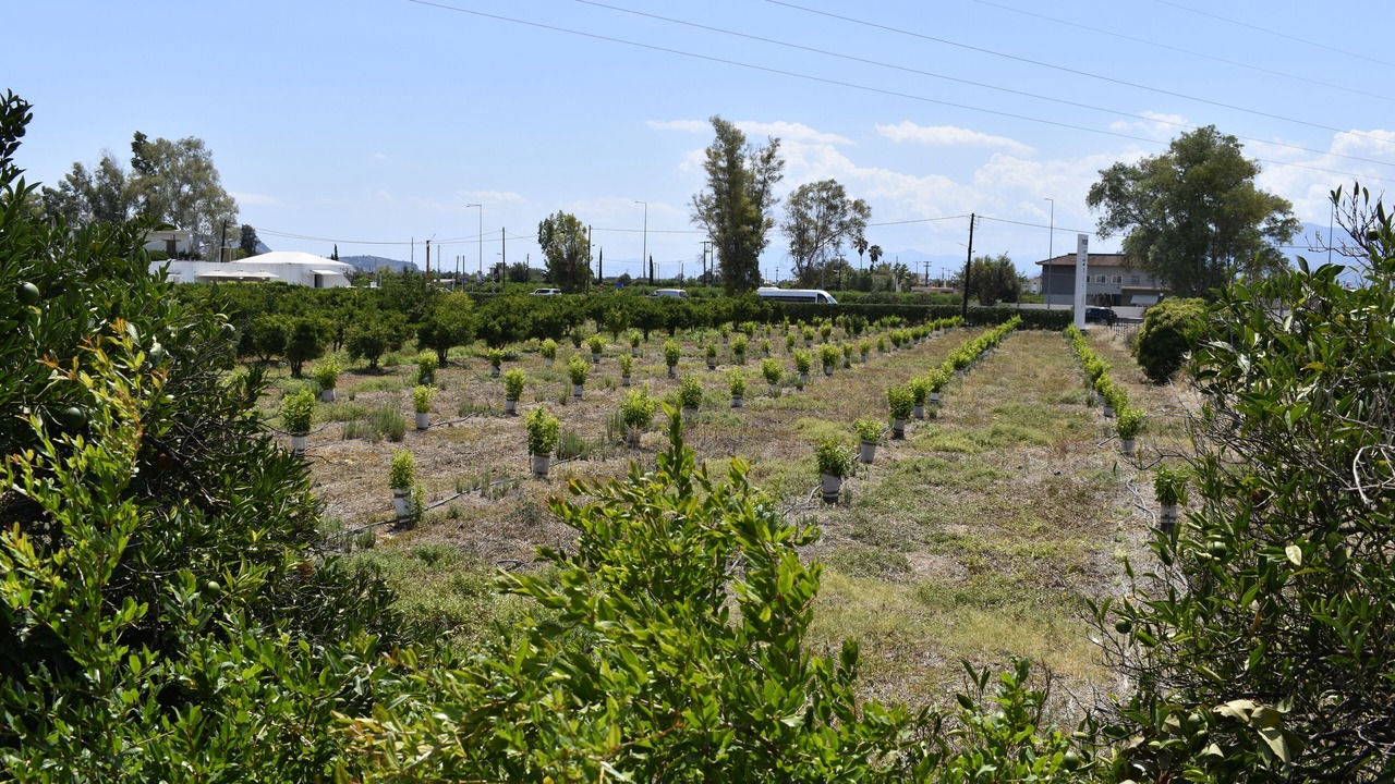 Photo of Outdoor in Kefalari