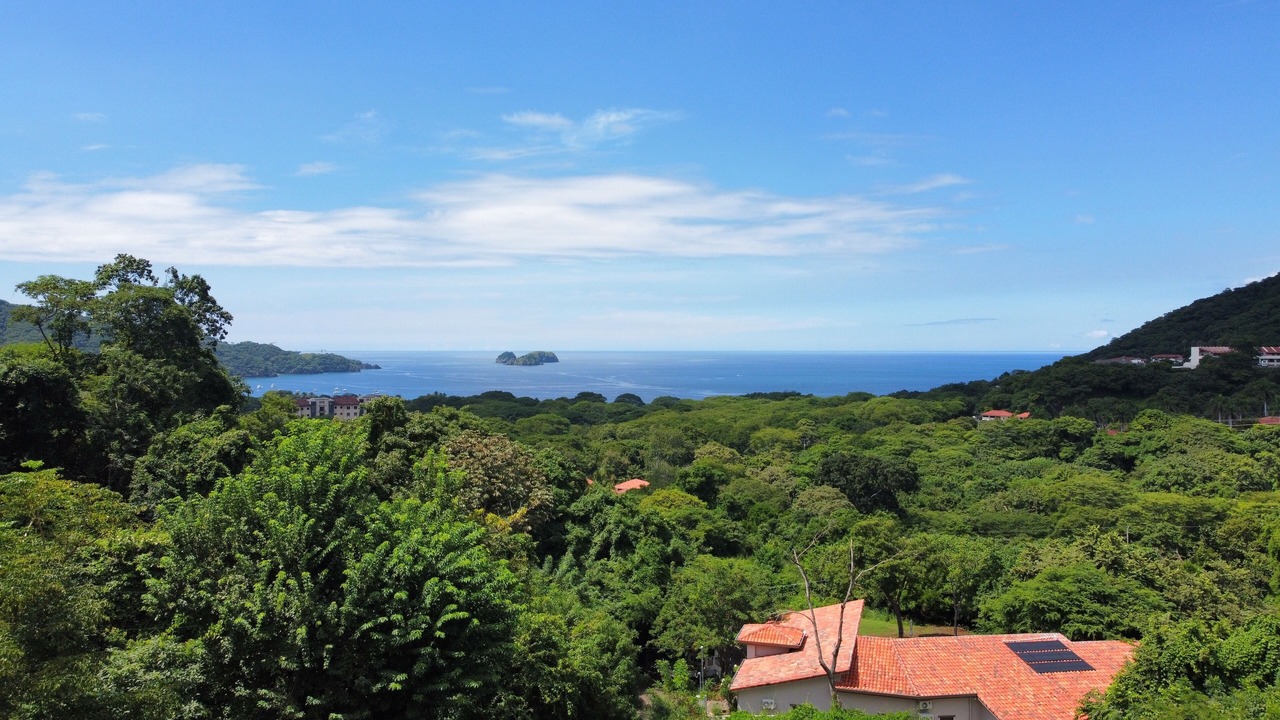 Photo of Others in Pacuare Reserve