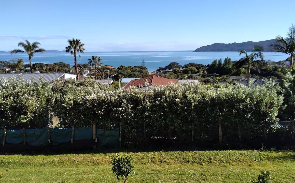 Photo of Outdoor in Coopers Beach
