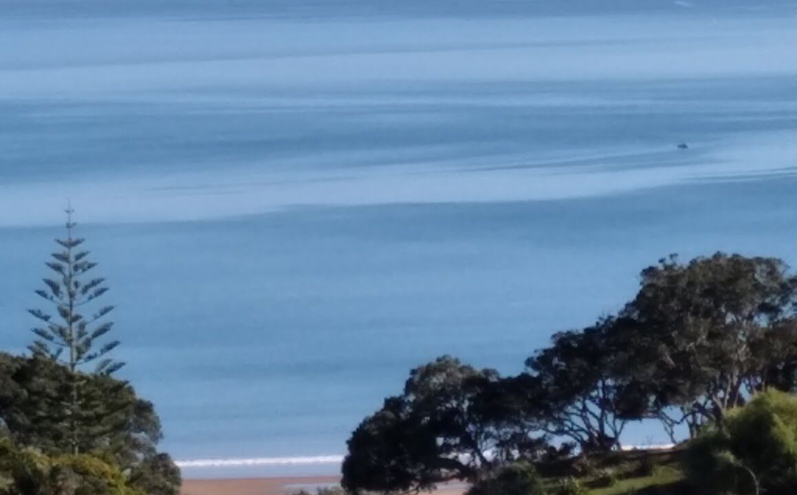 Photo of Others in Coopers Beach