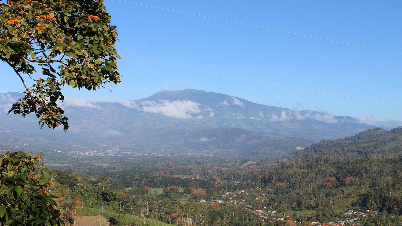 Photo of Others in La Suiza