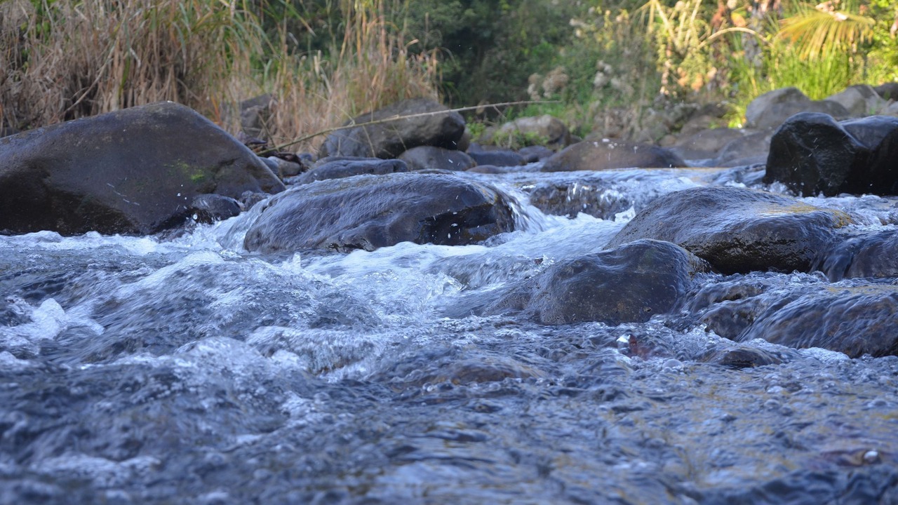 Photo of Outdoor in La Suiza