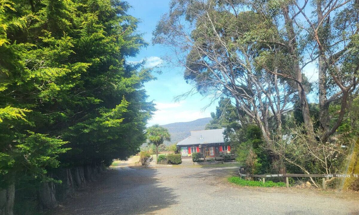 Photo of Outdoor in Gray