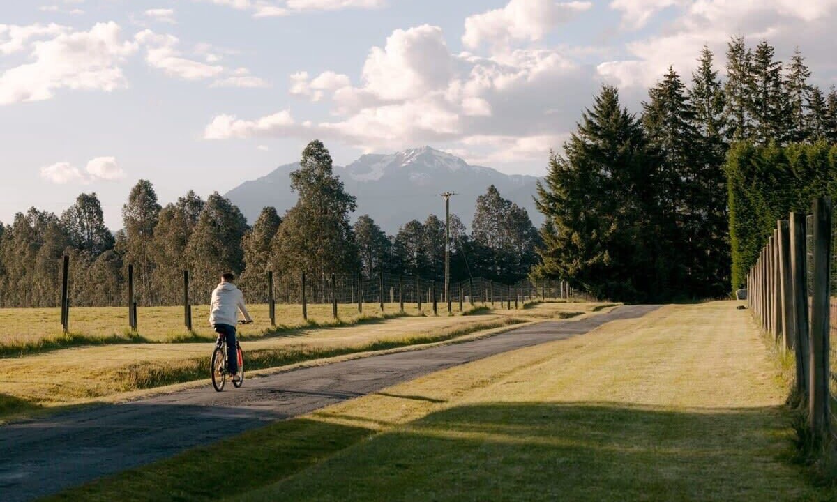 Photo of Others in Te Anau