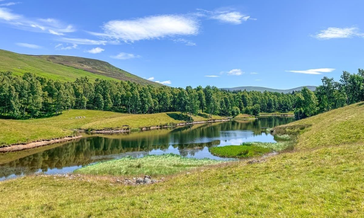 Photo of Others in Clova