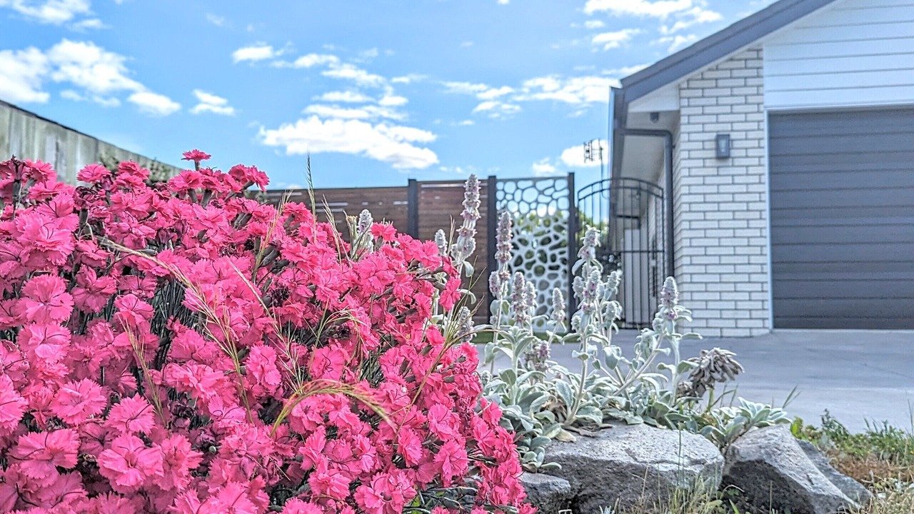 Photo of Outdoor in Owhata