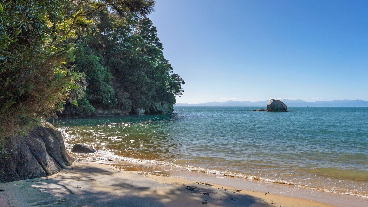 Photo of Others in Ngaio Bay