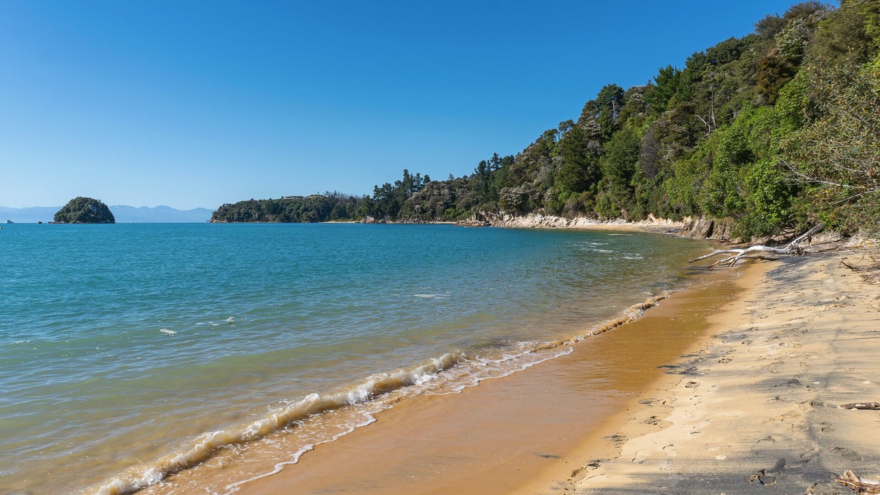 Photo of Others in Ngaio Bay