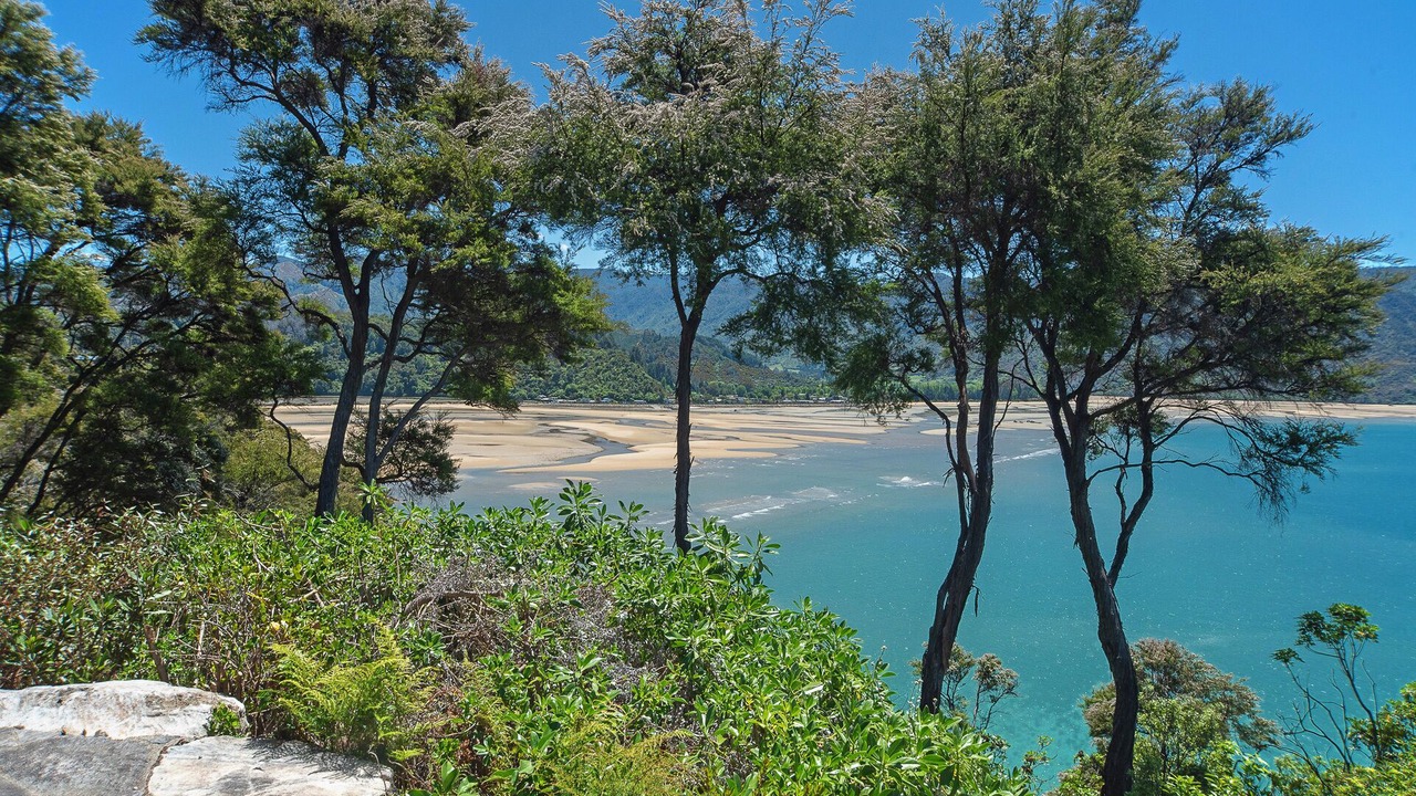 Photo of Others in Ngaio Bay