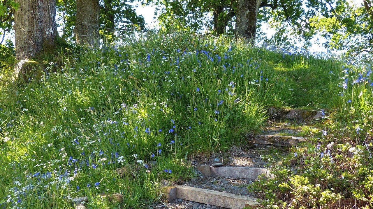 Photo of Outdoor in Dalmally