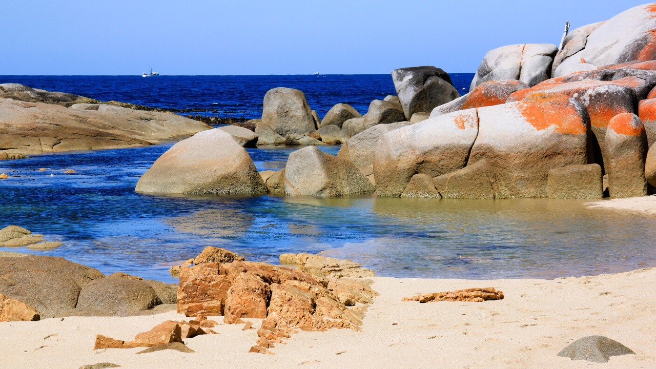 Photo of Others in Binalong Bay