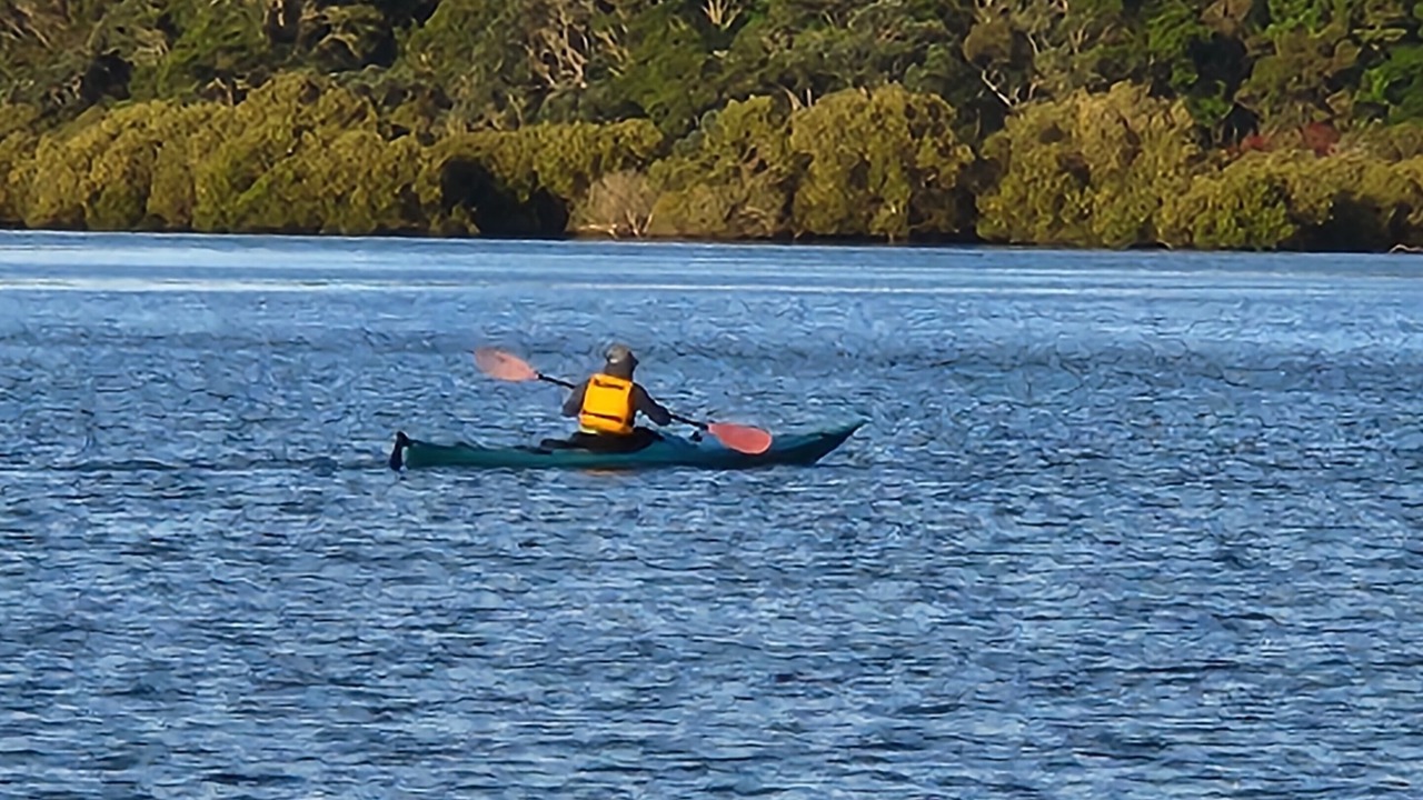 Photo of Others in Ngunguru