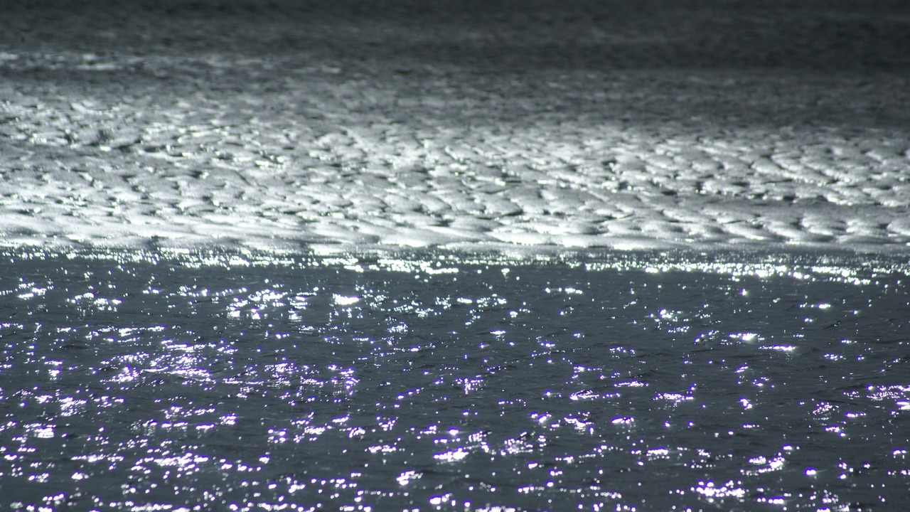 Photo of Others in Ngunguru