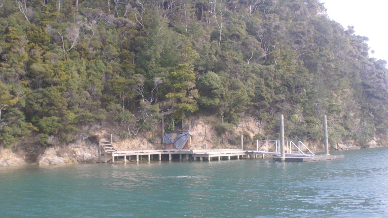 Photo of Others in Ngunguru