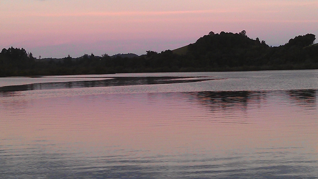 Photo of Others in Ngunguru