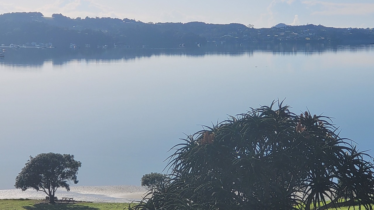 Photo of Outdoor in Mangapai