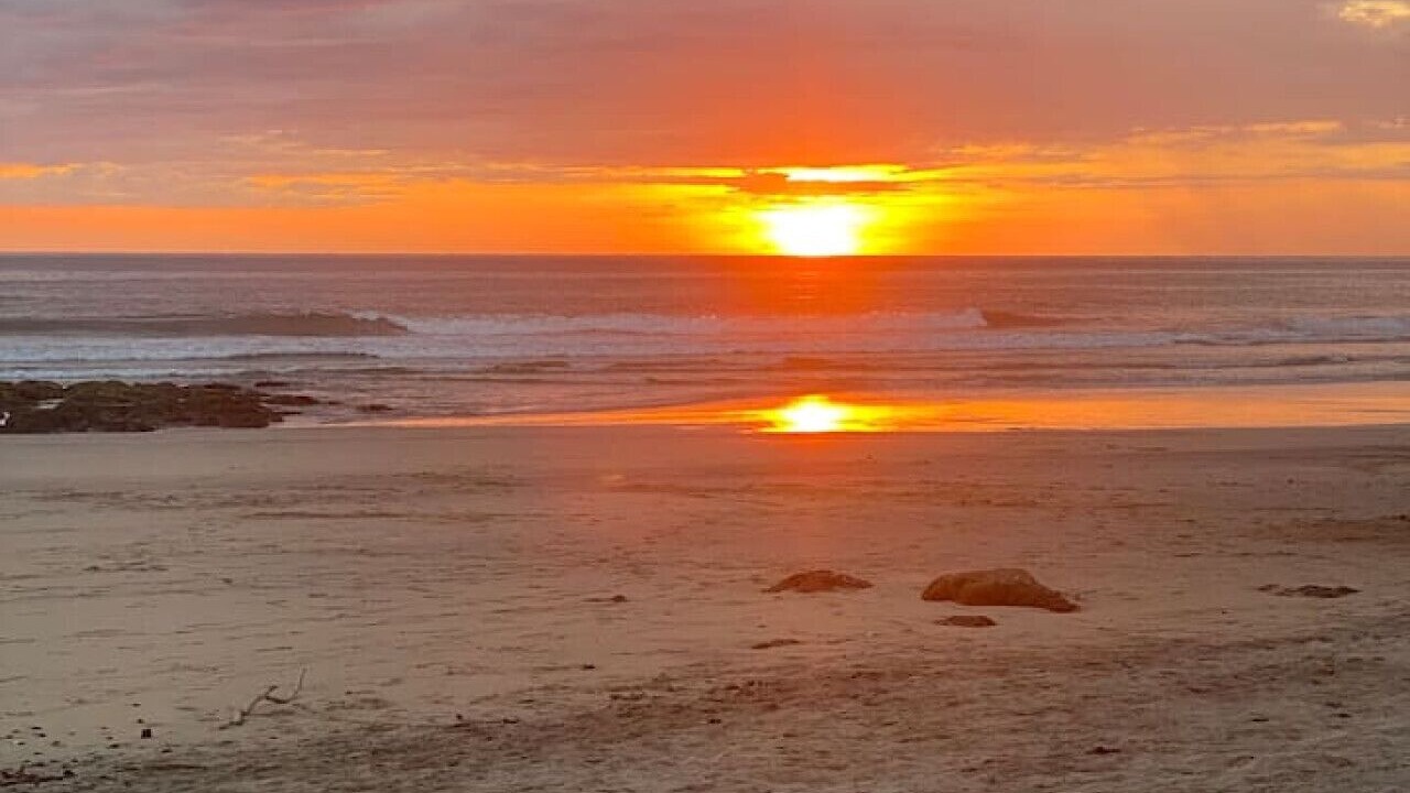 Photo of Others in Tamarindo